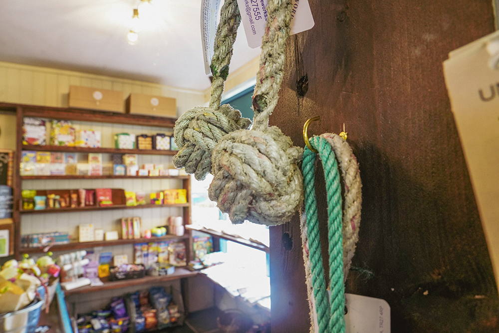 dog toys shop image